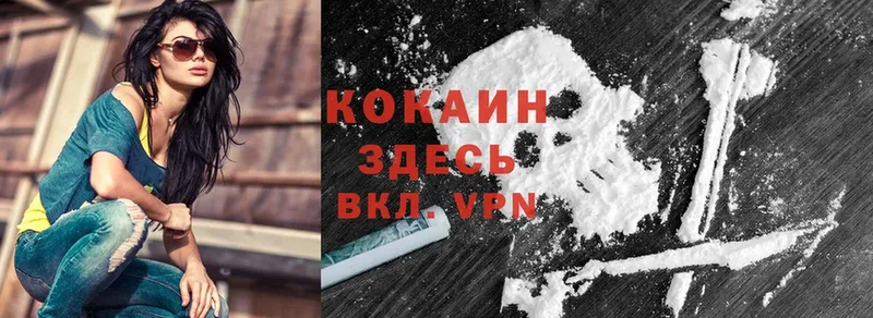 Cocaine FishScale  гидра зеркало  Демидов  сколько стоит 